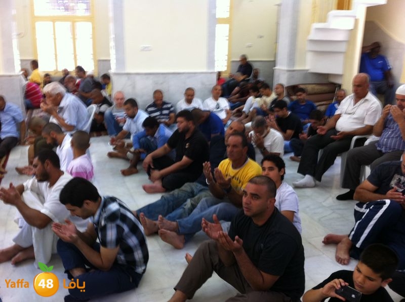 suliman satel nozha 621 (3).jpg